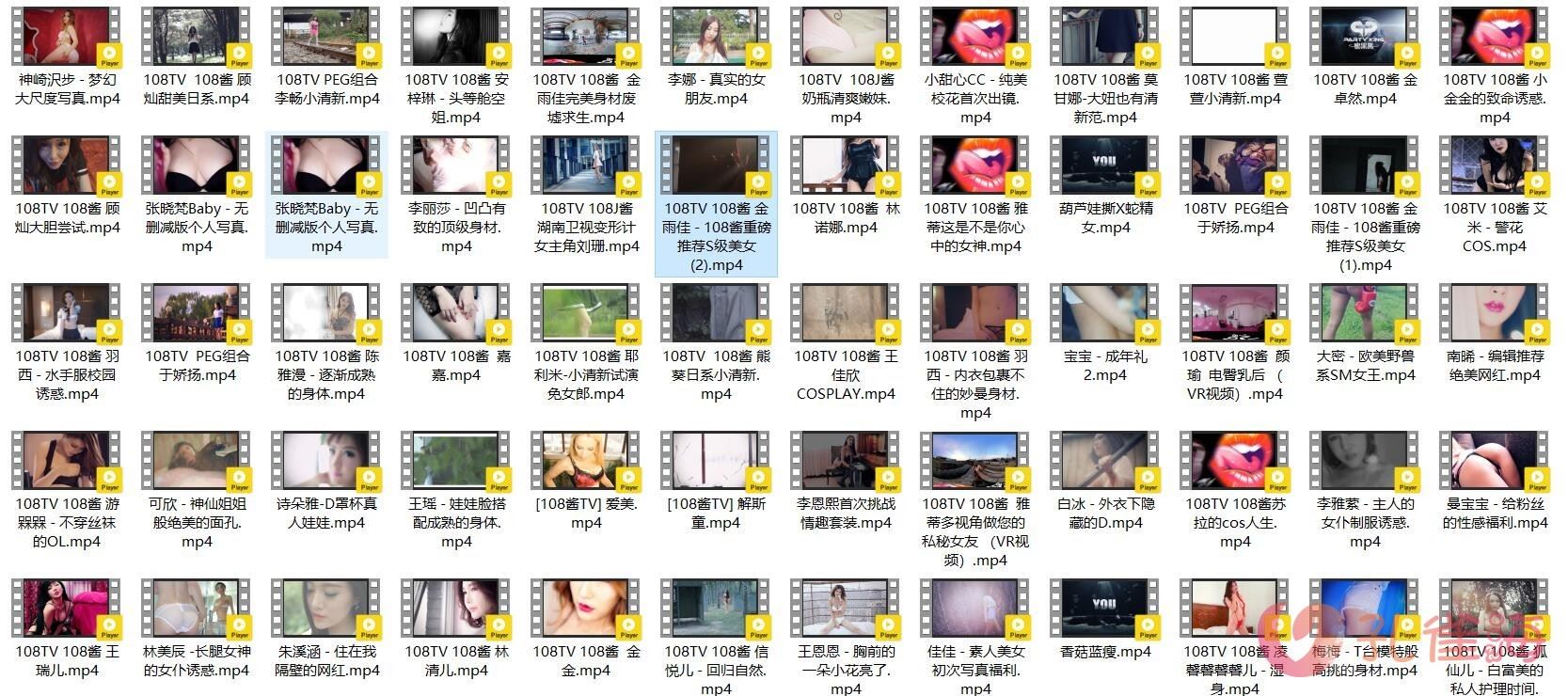 [合集]《108TV酱》视频作品144套120.89G